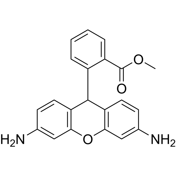 Dihydrorhodamine 123 109244-58-8